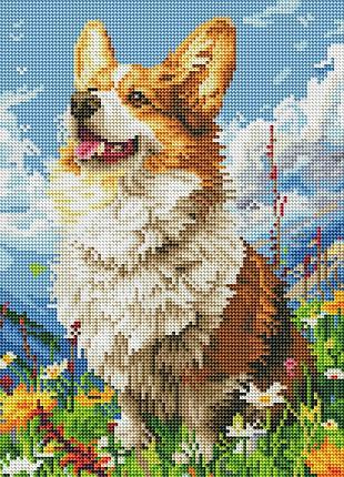 Алмазна мозаїка на дерев'яному підрамнику сонячний коргі drbs53943