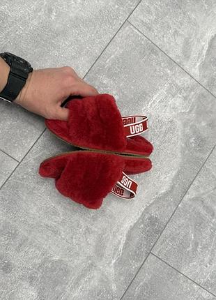 Тапочки ugg оригінал 6