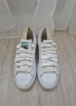 Кроссовки adidas, размер 38-39, стелька 25 см