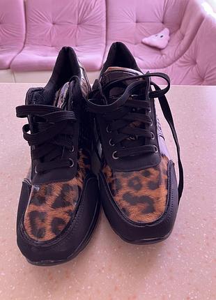 Кросівки жіночи