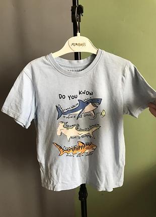 Футболка прімарк primark