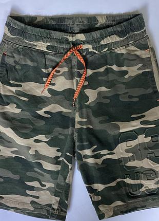 Шорти трикотажні 12-13/158