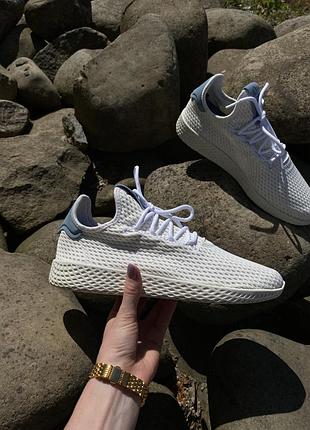 Кросівки adidas pharrell williams (оригінал)