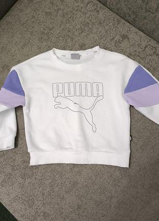 Світшот реглан кофта для дівчинки puma
