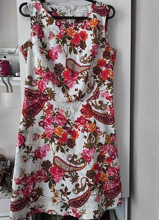 Сукня бавовна