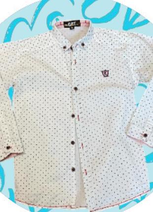 Сорочка 8-10 років від cat, заміри на фото