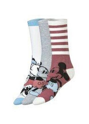 Женские носки 3 пары disney minni mouse 39-42