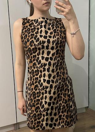 Леопардове плаття леопардова сукня