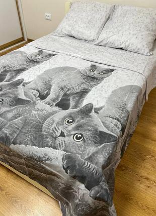 Котики,киця, постільна білизна, комплект постільної білизни,коти