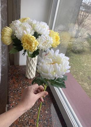 Хризантеми декоративні( мають вигляд справжніх квітів)