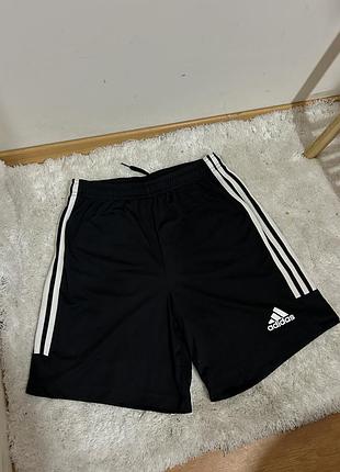 Шорти adidas
