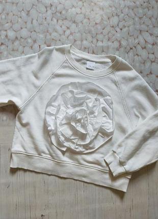 Світшот кофта светр 140 см zara