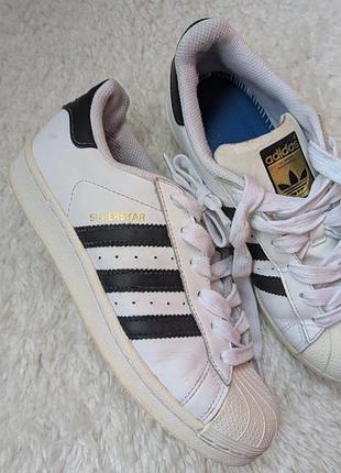 Кроссовки adidas superstar белые классические 36 размер.22 см