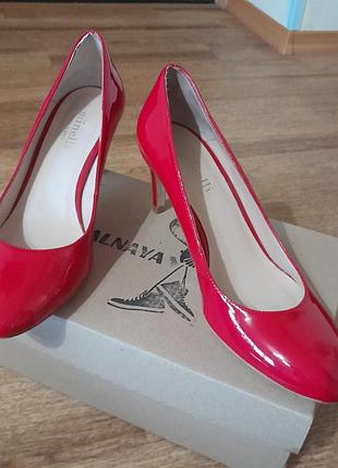 Туфлі minelli
