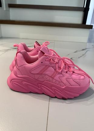 Steve madden кросівки