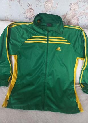 Олімпійка adidas