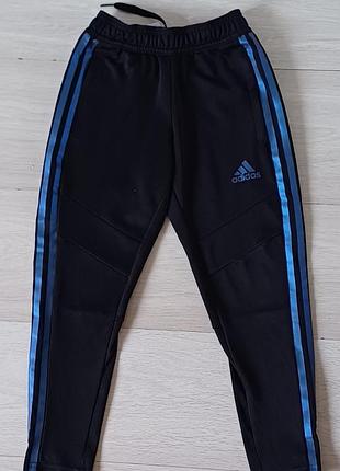Спортивные штаны adidas