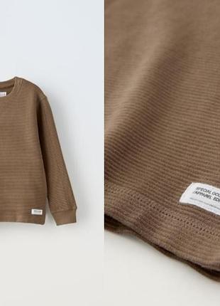 Свитшот zara 11-12роков (коттон)