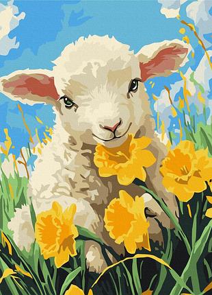 Картина за номерами лагідне блеяння літа bs54317