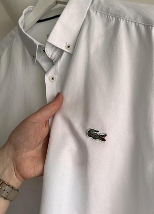 Сорочка lacoste