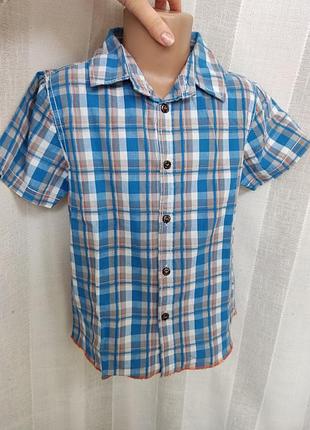 Рубашка коттоновая с надписью на спине на мальчика