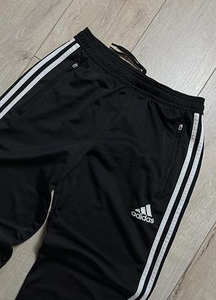 Спортивні штани adidas2 фото