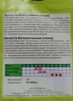 Семена поздней капусты 3 грамма! 5