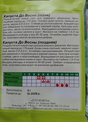 Семена поздней капусты 3 грамма! 4