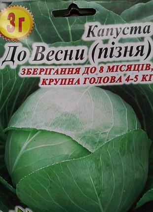 Семена поздней капусты 3 грамма! 3