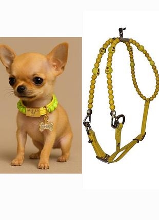 Итальянская оригинальная стильная шлейка для собак  собака amella pet — цеплять поводок