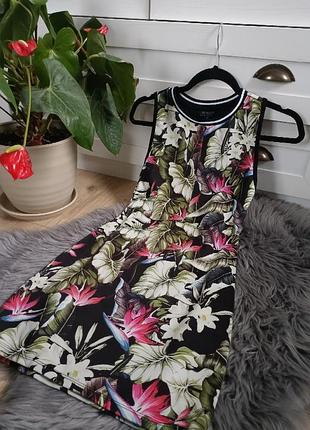 Стильна сукня міні від topshop, розмір xs-s