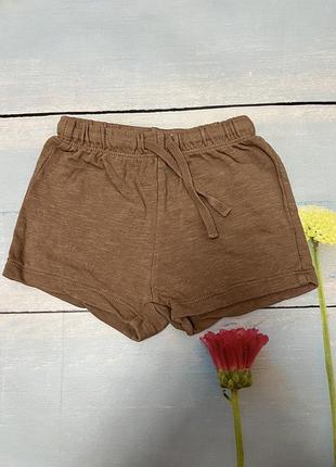 Шорти