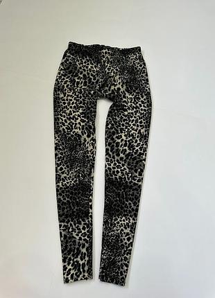 Модняві лосини