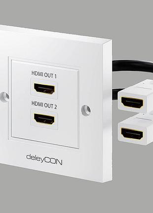 Настінна моніторна розетка hdmi прихованого монтажу, 2 порти, тм deleycon