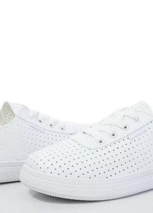 Кроссовки l.fairy 1007-1

артикул: 1007-1
размер: 36-41
цвет: белый
поставщик: l.fairy