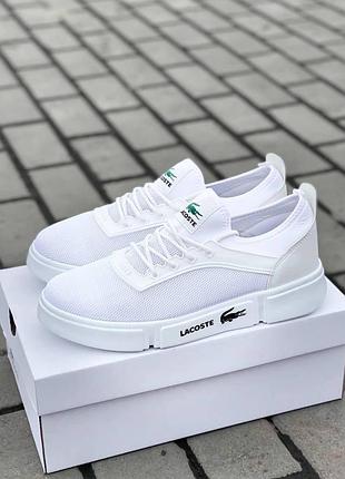 Чоловічі кросівки кеди lacoste