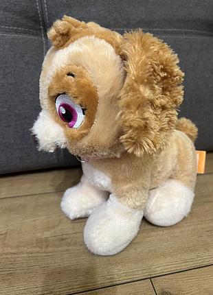 Собака мʼяка скай bab