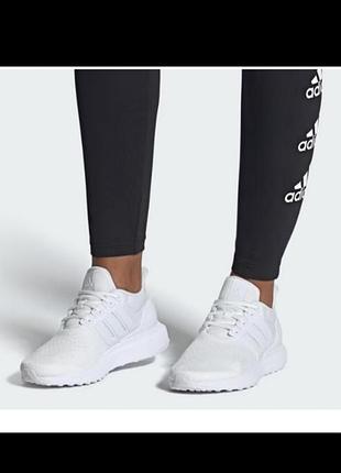 Кросівки відомого бренду adidas