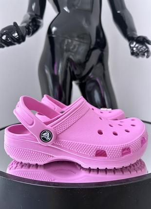 Мягкие классические кроксы  сабо crocs