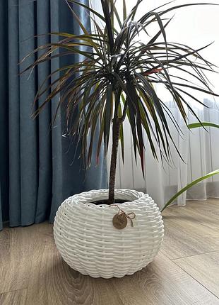 Кашпо для квітів з ротангу