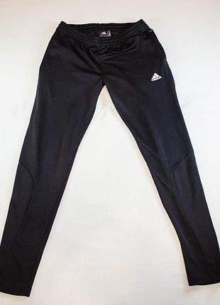 Adidas sobakovlite женские спортивные штаны оригинал! размер m