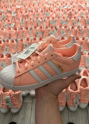 Оригінал! жіночі кросівки кеди adidas originals superstar b42001