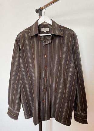 Шоколадна рубашка в смужку