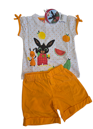 Костюмчик на девочку 0142