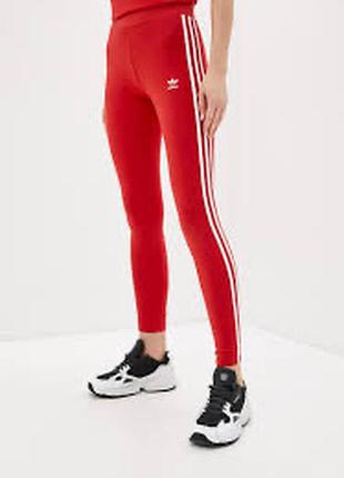 Лосини,легінси