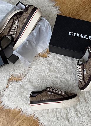 Жіночі кеди coach преміум якість