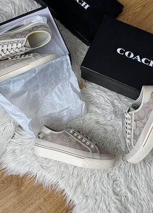 Жіночі кеди coach