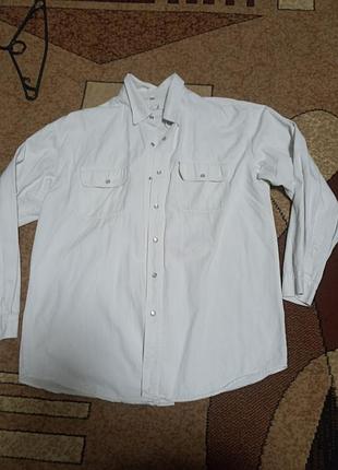 Рубашка бело- молочного корог