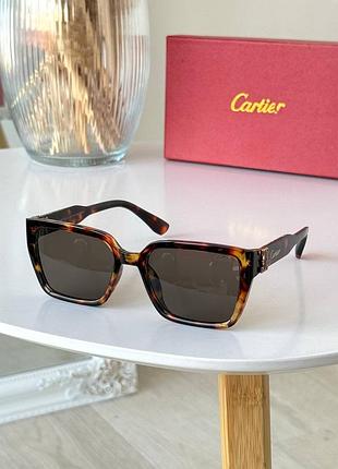 Солнцезащитные очки carter