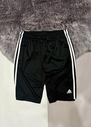 Шорти adidas хс розмір 3863
